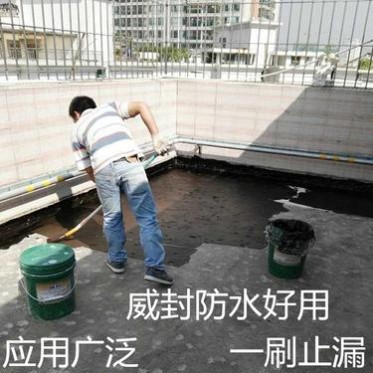防水涂料二建 德高防水涂料 jg防水涂料 易家乐防水涂料 涂伯士防水涂料