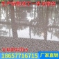 温州广西湖州湖南彩砂耐磨地坪 弘康厂房**地坪工程承接与施工